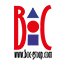 BOC Group Logo
